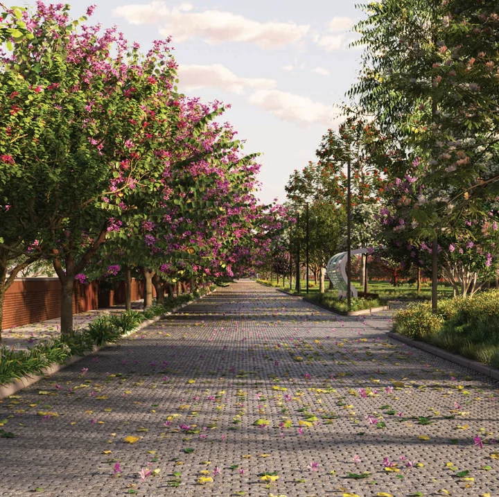 Bamboo-framed forest trail at Total Environment Yelahanka