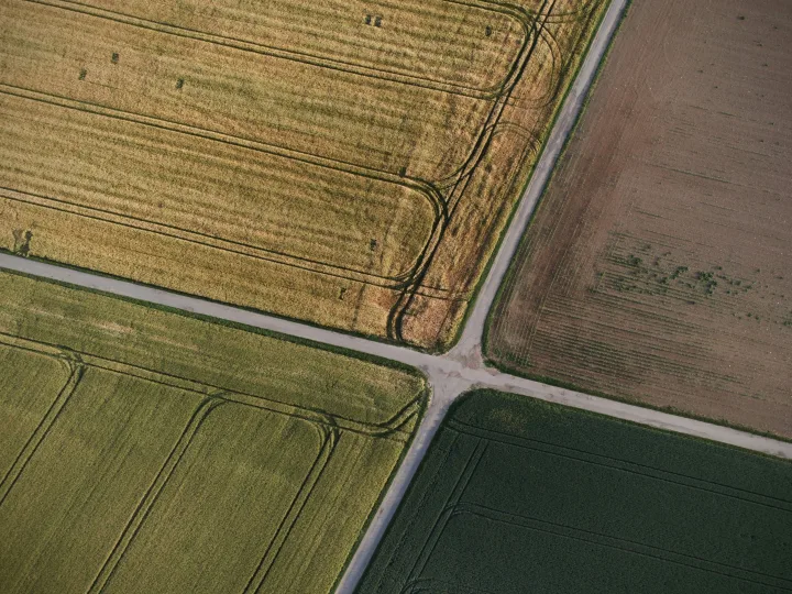 Land parcel and access road visual for the Total Environment Yelahanka contact page